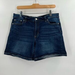 Banana Republic Vintage Jean Shirts Ladies 29/8